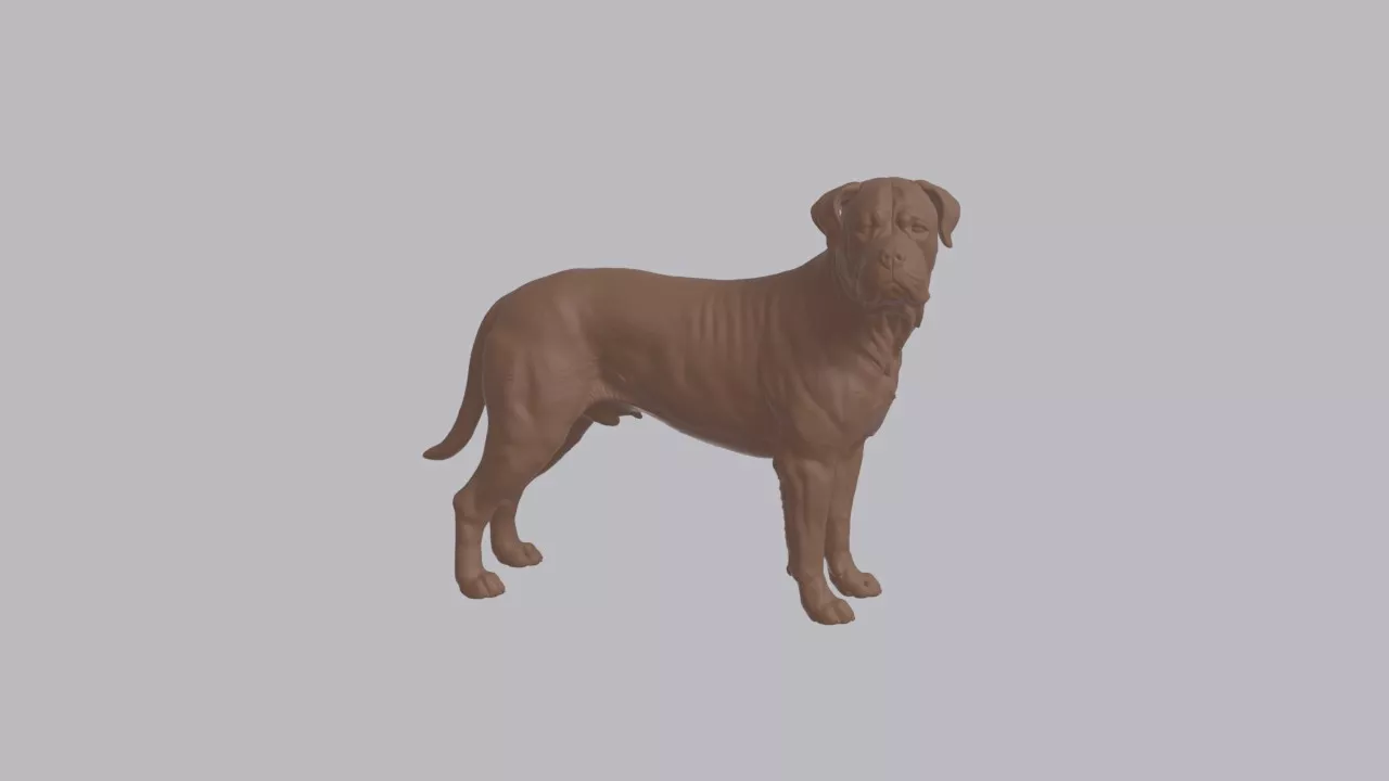 Realistic Bullmastiff Looking Side Dog Sculpture 3D print model