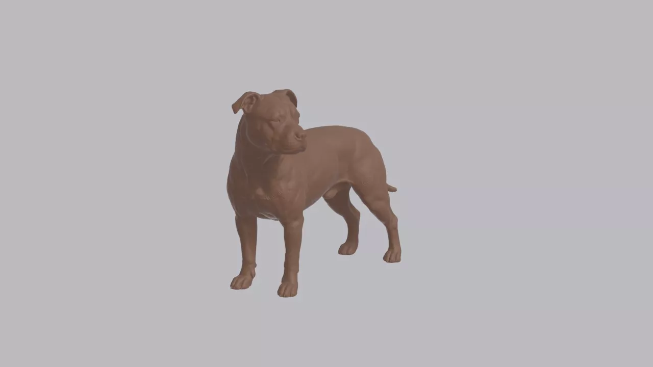 Realistic American Staffordshire Terrier Looking Side Dog 3D print model