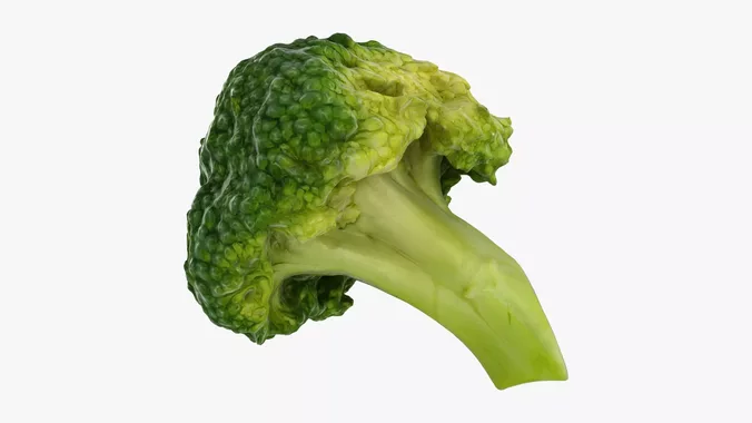 Broccoli Florets 02