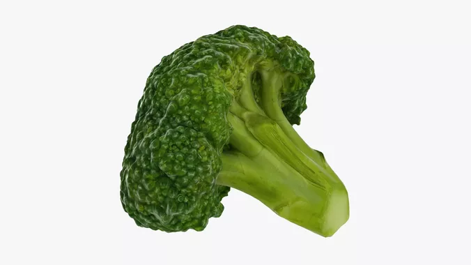 Broccoli Florets 03