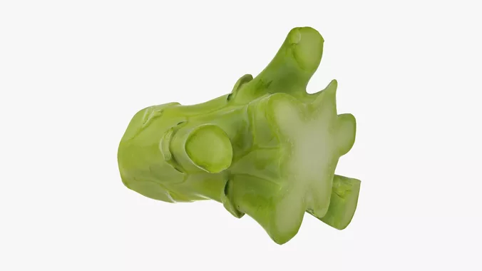 Broccoli Stem