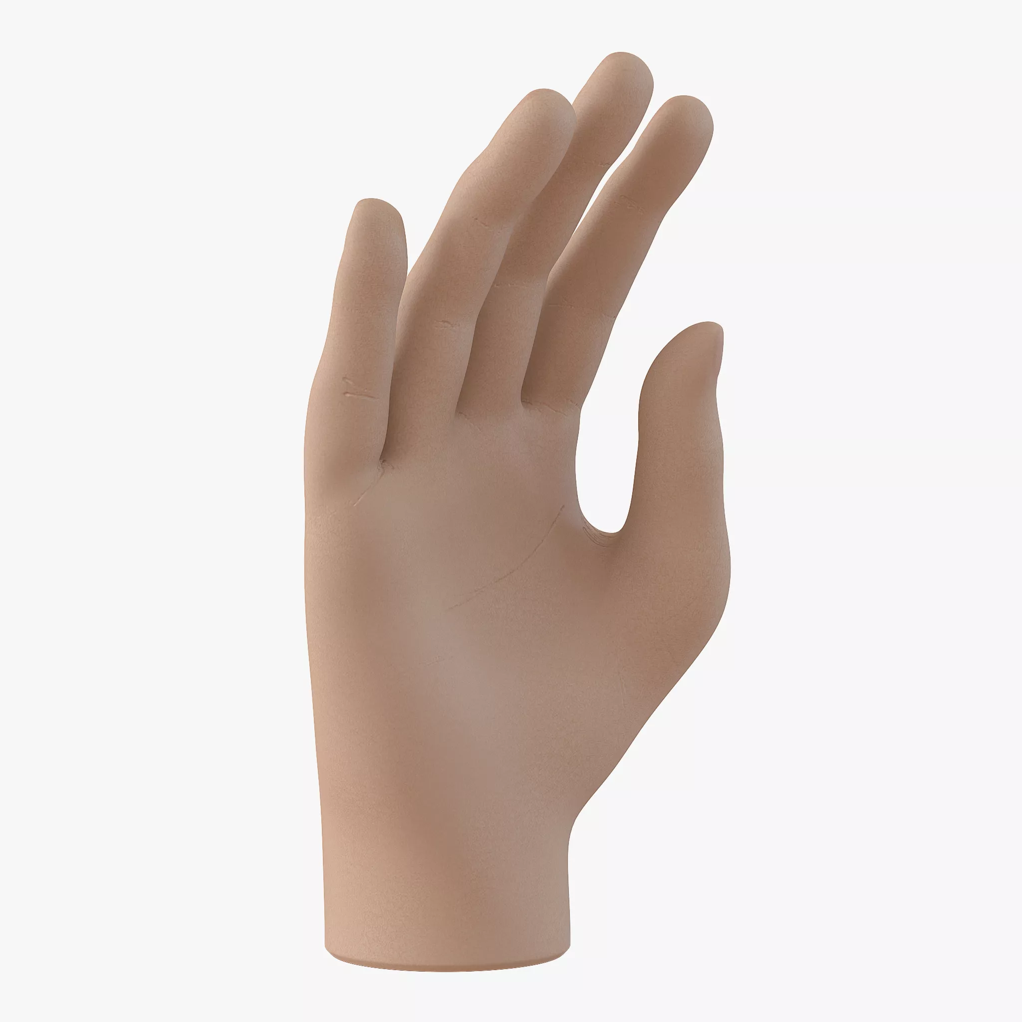 Plastic Hand 3D model