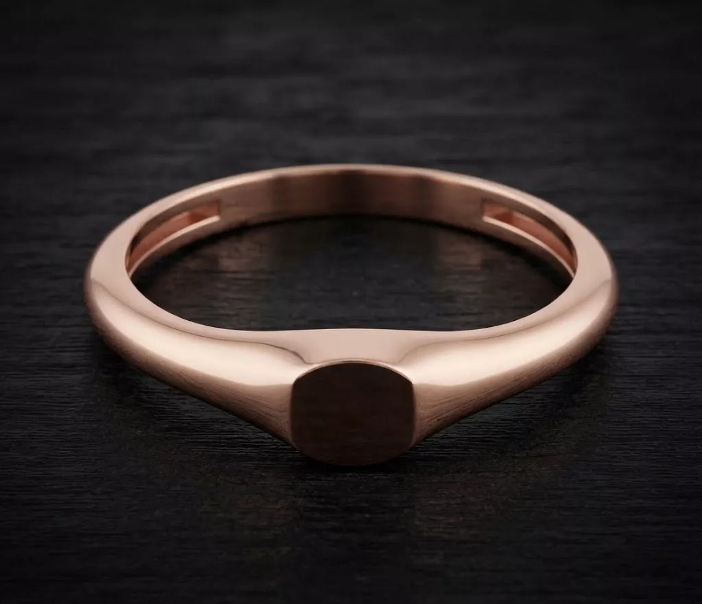 Jewelry Ring v14 S Size 3D print model