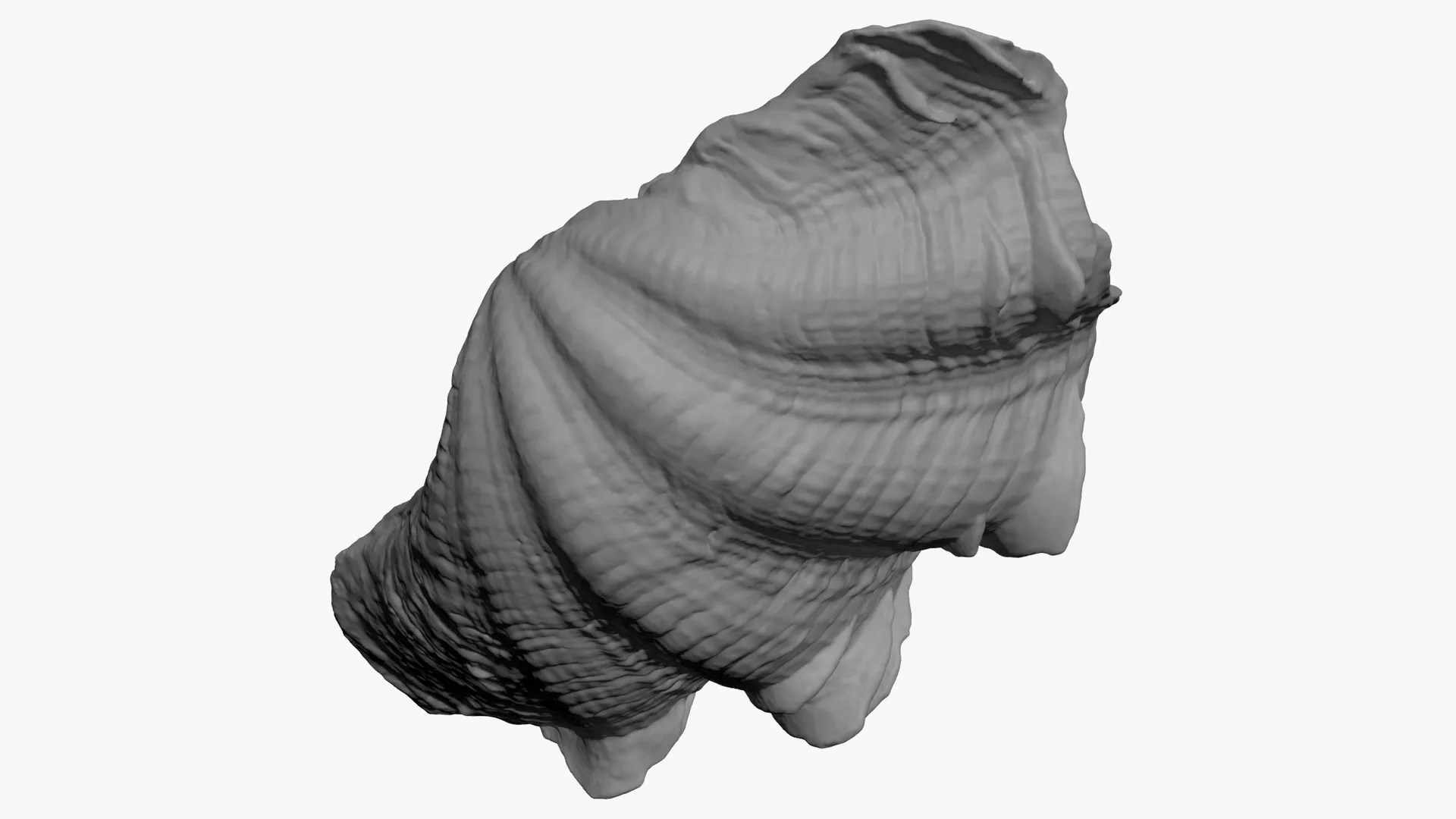 Giant Clam Shell Half 01 - For 3D Print 3D print model
