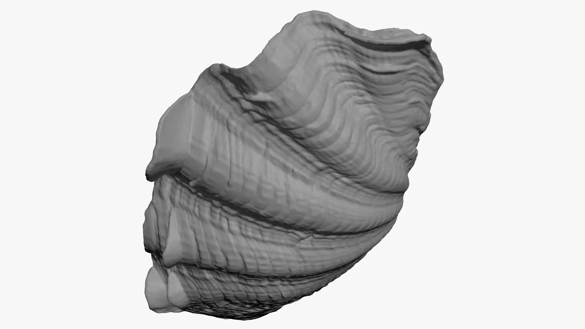 Giant Clam Shell Half 02 - For 3D Print 3D print model