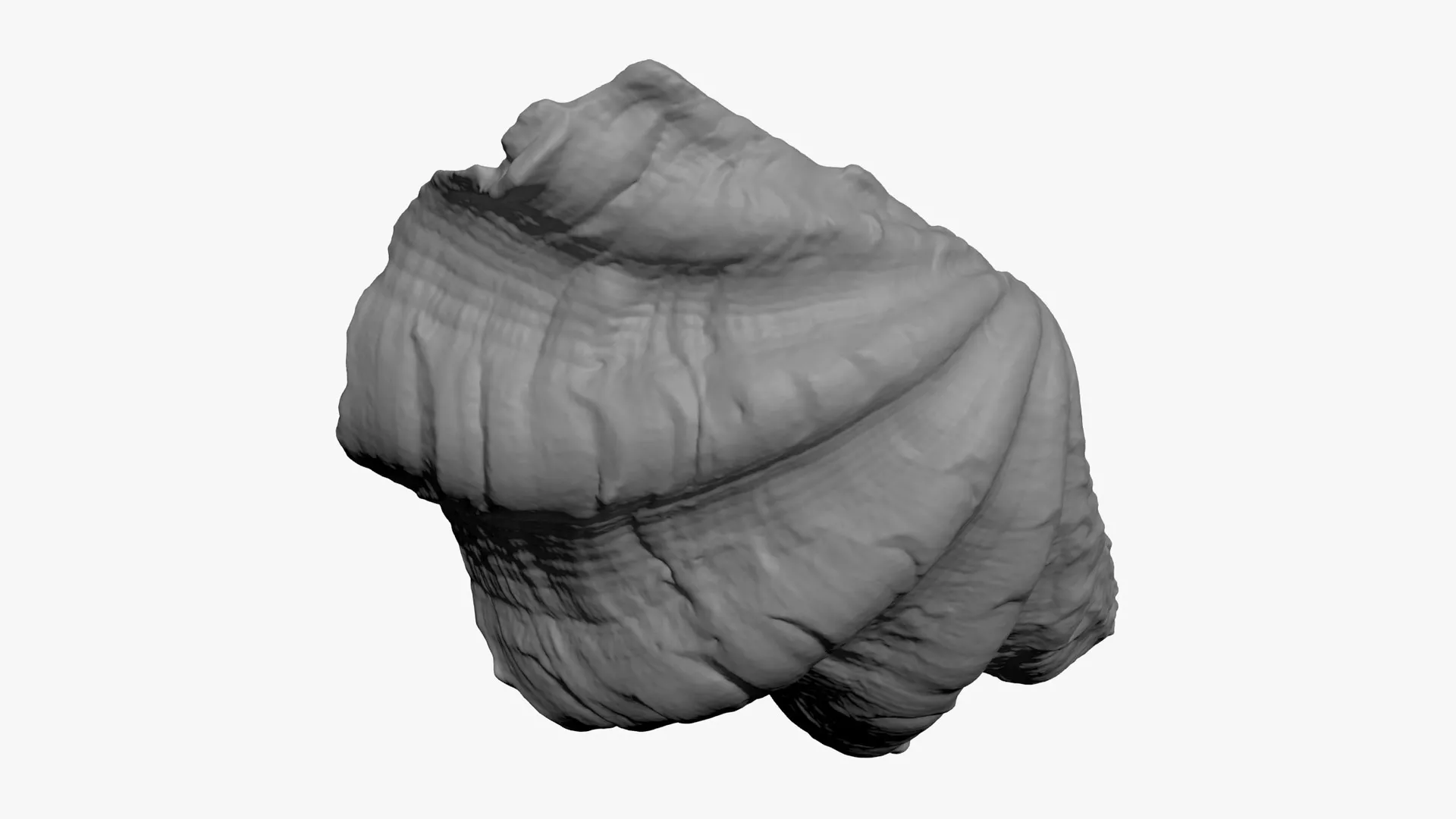 Giant Clam Shell Half - For 3D Print 3D print model