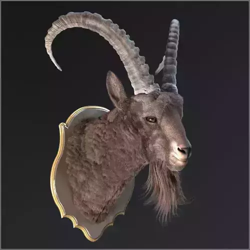 Goat trophy  3D model