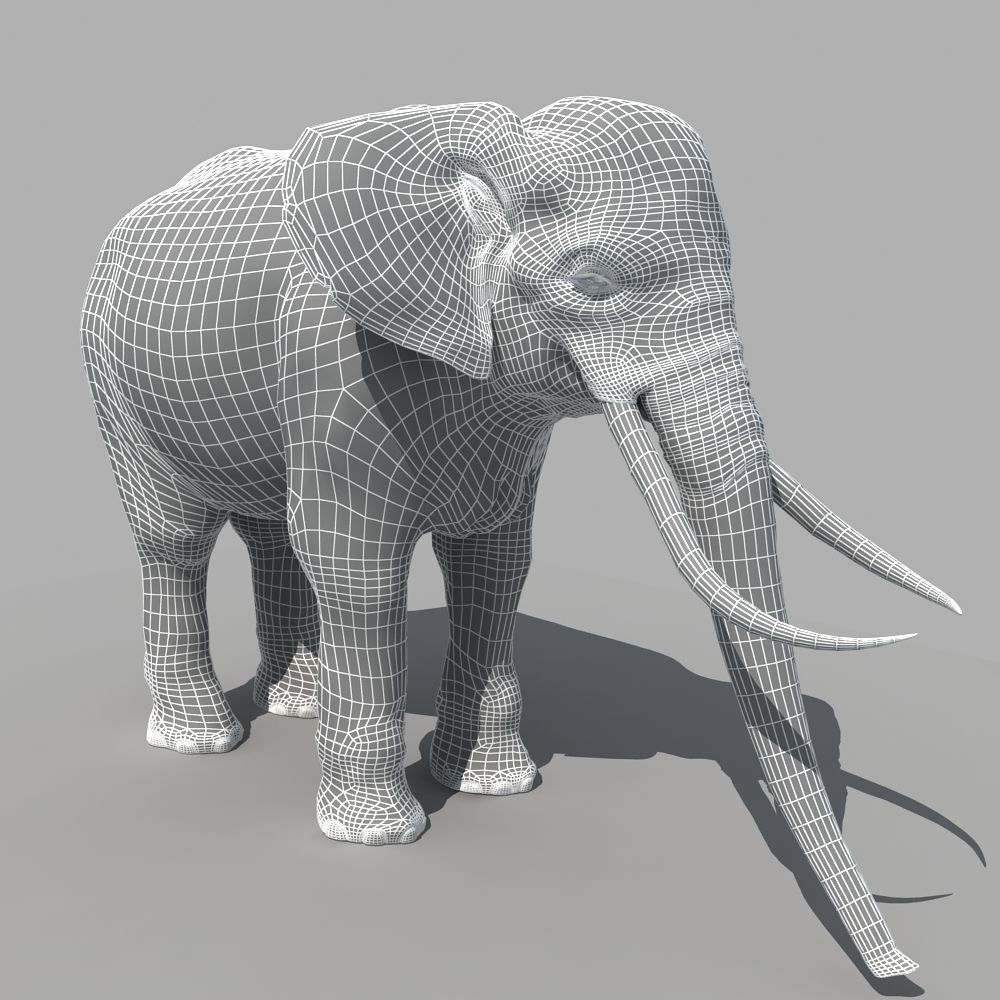 Asian Elephant 3D model_7