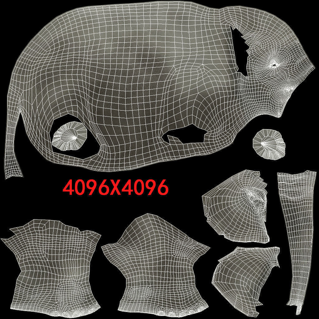 Asian Elephant 3D model_8