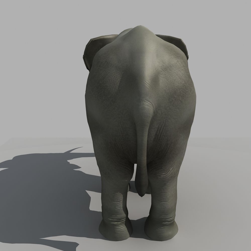 Asian Elephant 3D model_3