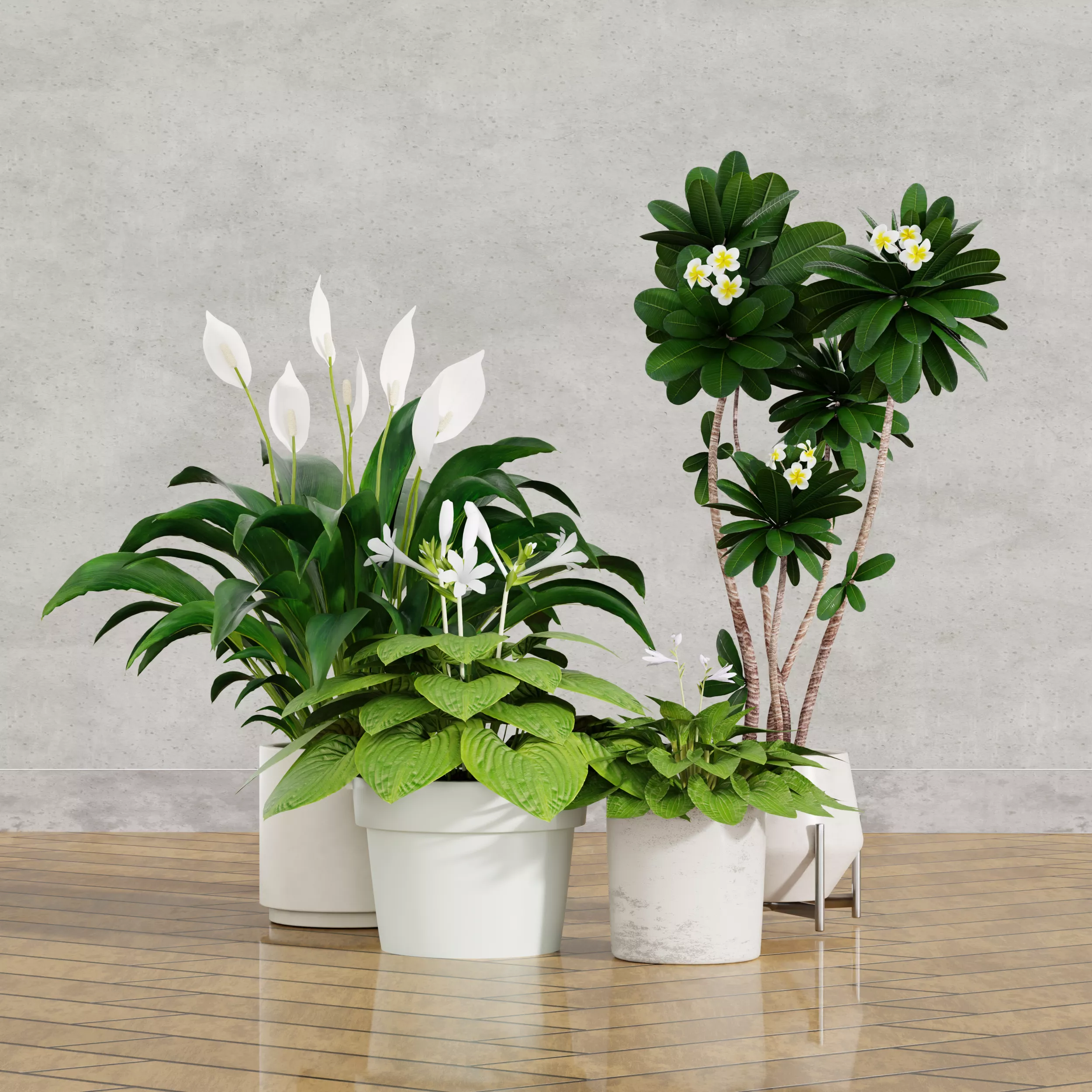 Flowering Plants Collection Low-poly 3D model
