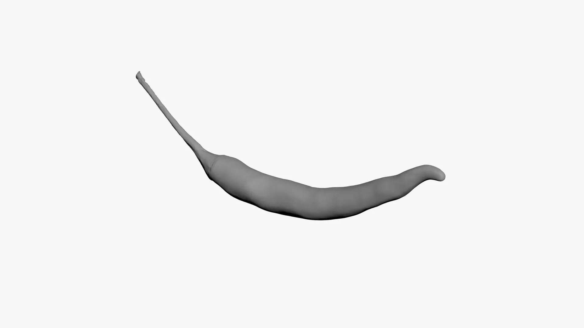 Chili Pepper 02 - For 3D Print 3D print model