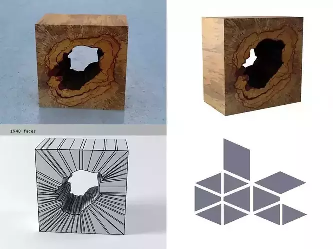 Tamarin 3 wooden box with hole in it