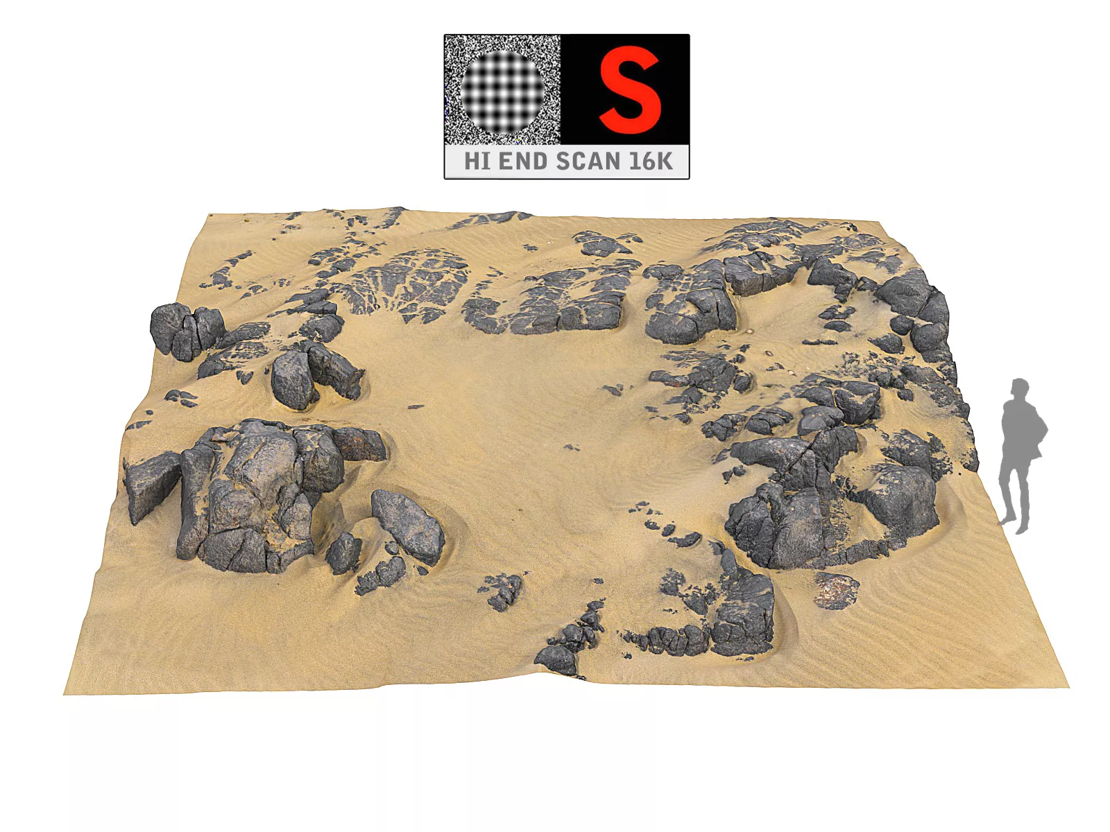 Dune Beach Ground 16K Low-poly 3D model