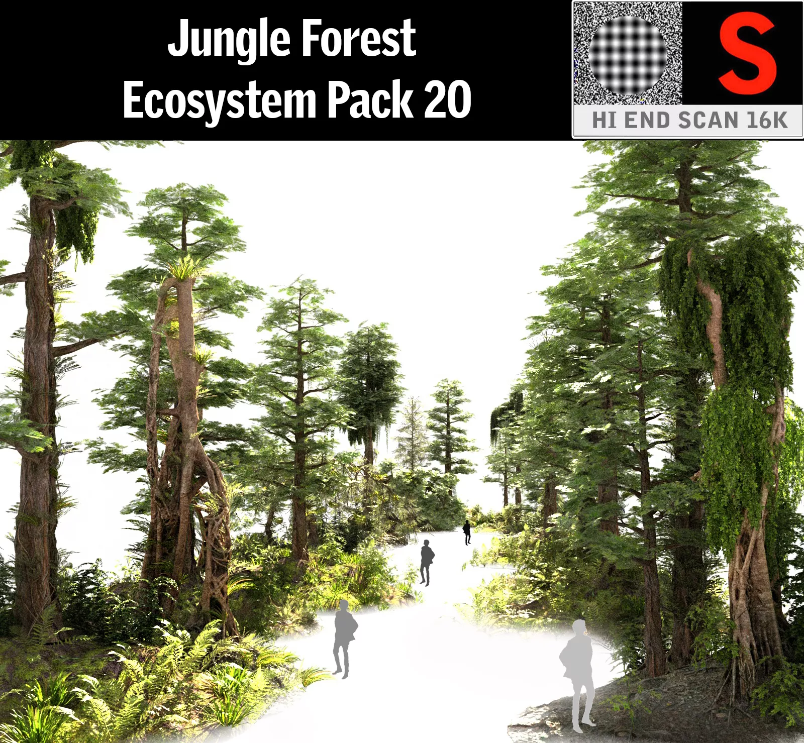 Jungle Forest Ecosystem Pack 20 Low-poly 3D model