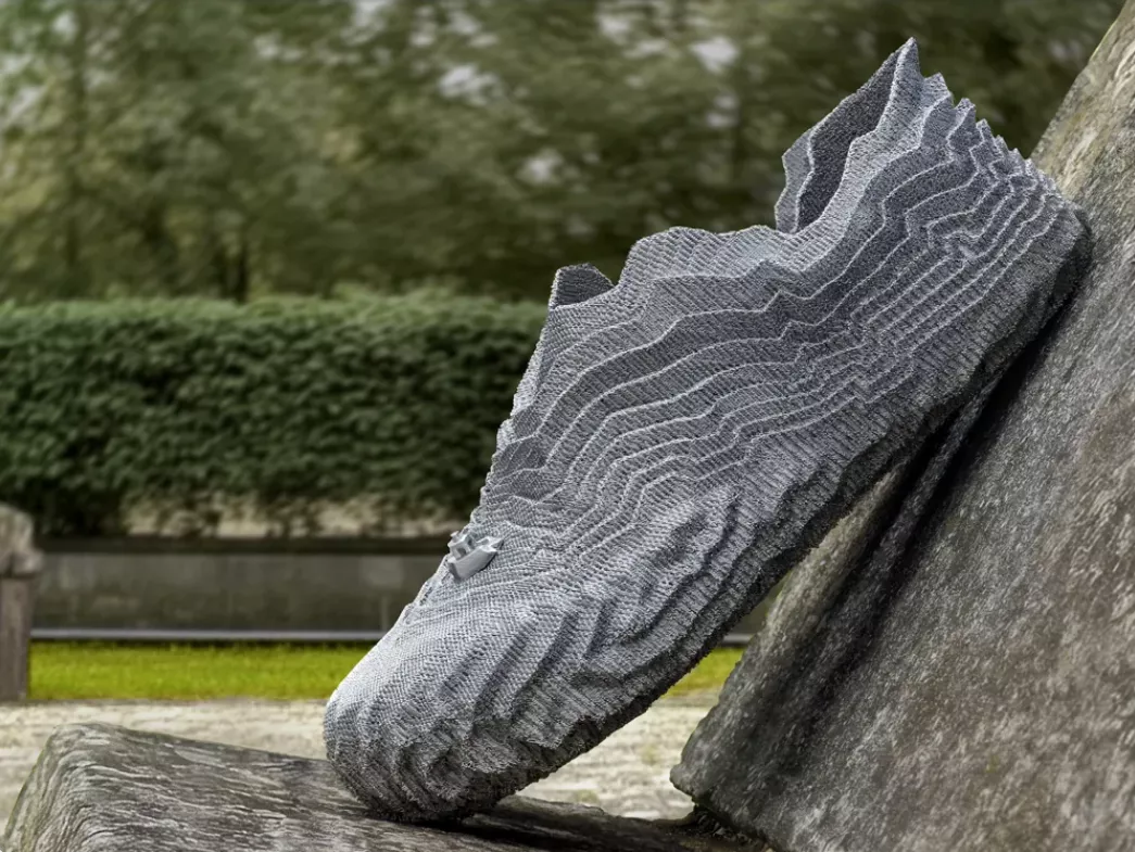 Waveform Shoe 3D print model