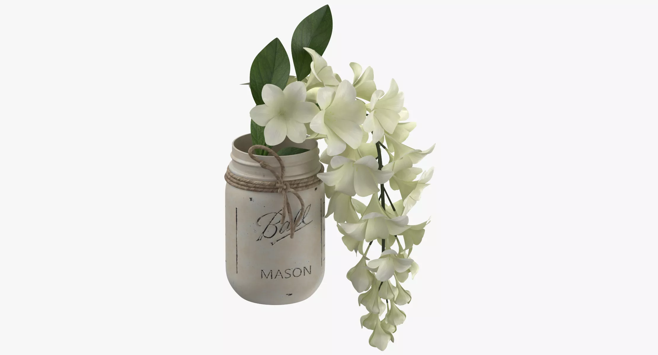 Flower in a Jar 3D model