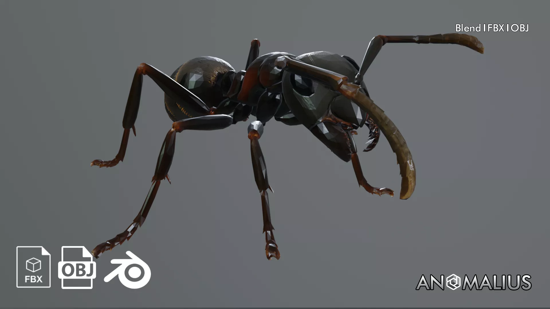 black ant 3D model