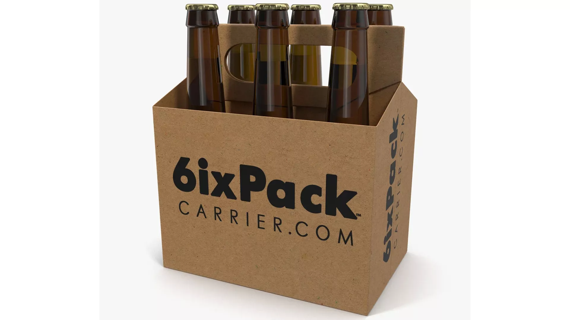 6 Pack Bottle Holder with Bottles 3D model