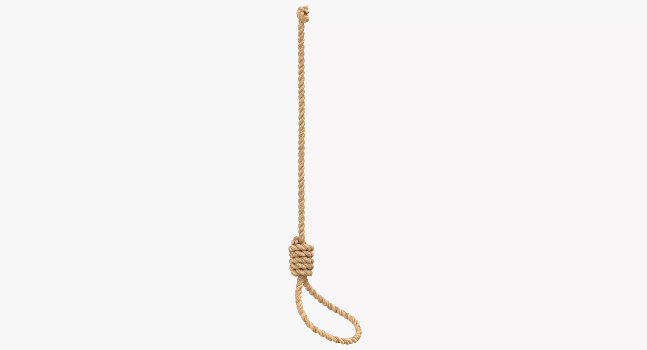 Noose Worn 3D model