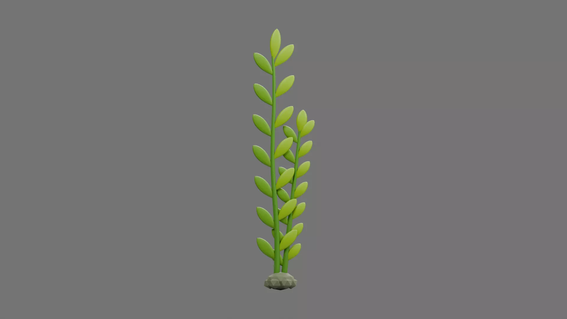 Branching Aquatic Plant with Small Leaves Low-poly 3D model