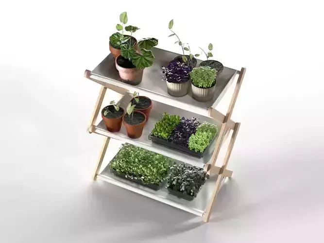 Creative Plant Shelf