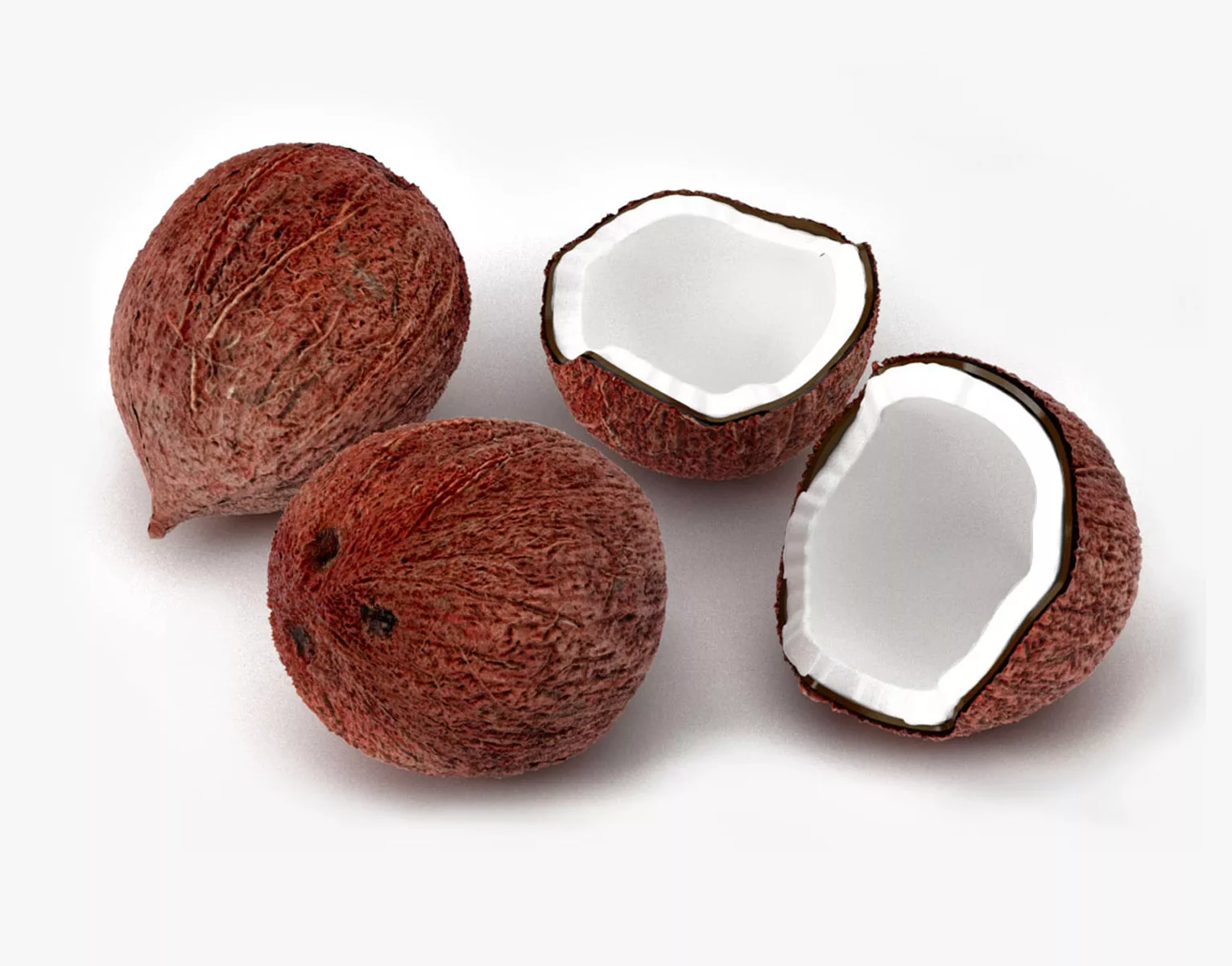 Coconut 3D MODEL Low-poly 3D model