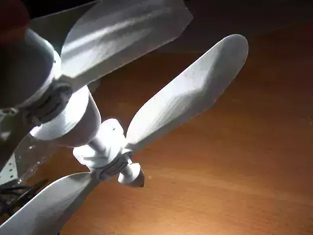 Fruit fly 2 Free 3D print model