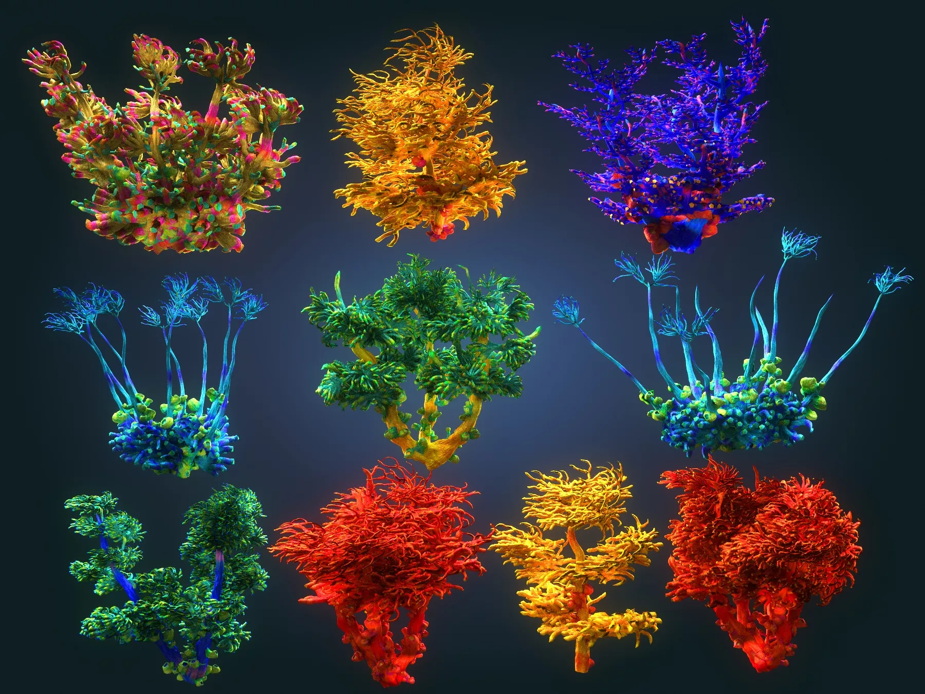 Coral reef plants Animated Pack 10 Low-poly 3D model