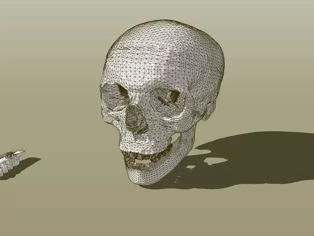 RCS Skull Free 3D print model