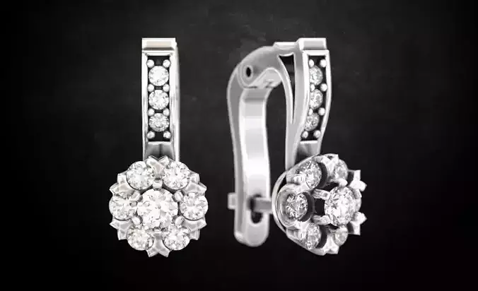 Womens earrings  114