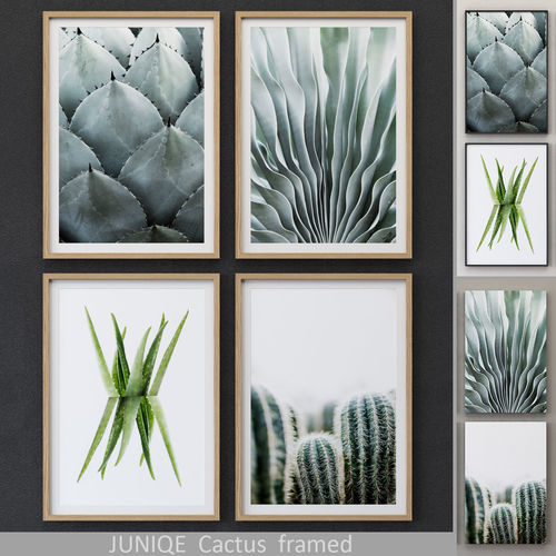 JUNIQE Cactus framed 3D model