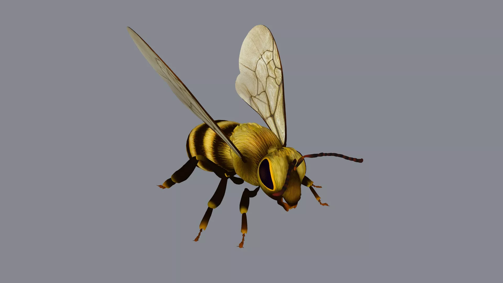 Realistic HoneyBee Sculpture 3D Print Model 3D print model