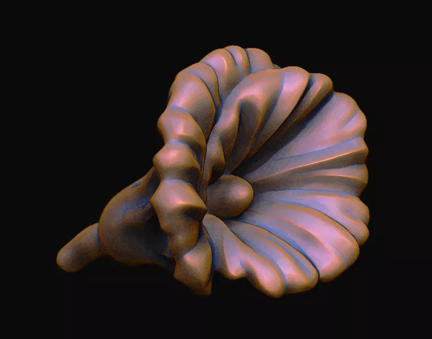 Art Nouveau Floral Stylized Trumpet Flower botanical 3D print model
