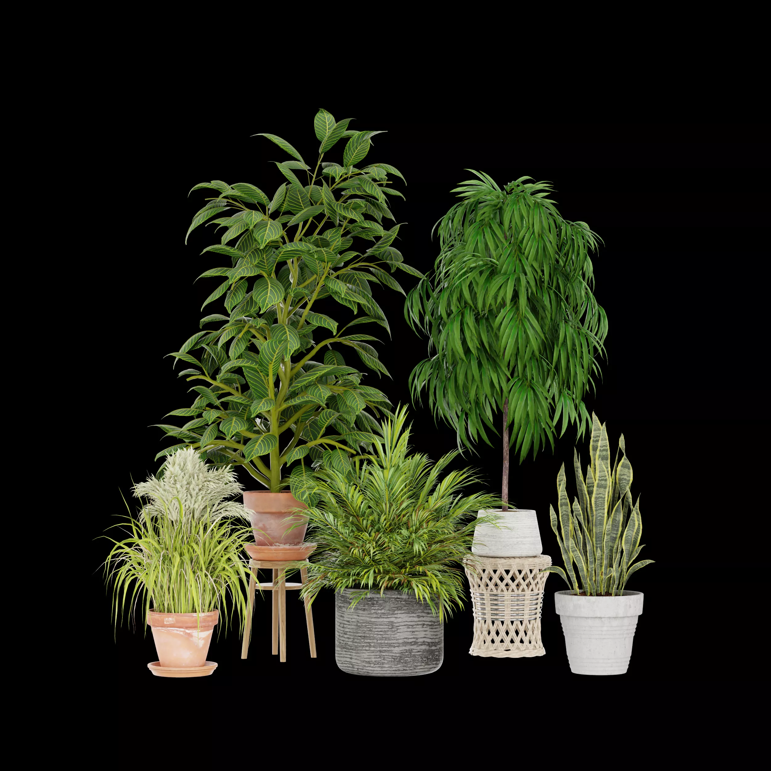 Indoor Plants Collection Low-poly 3D model