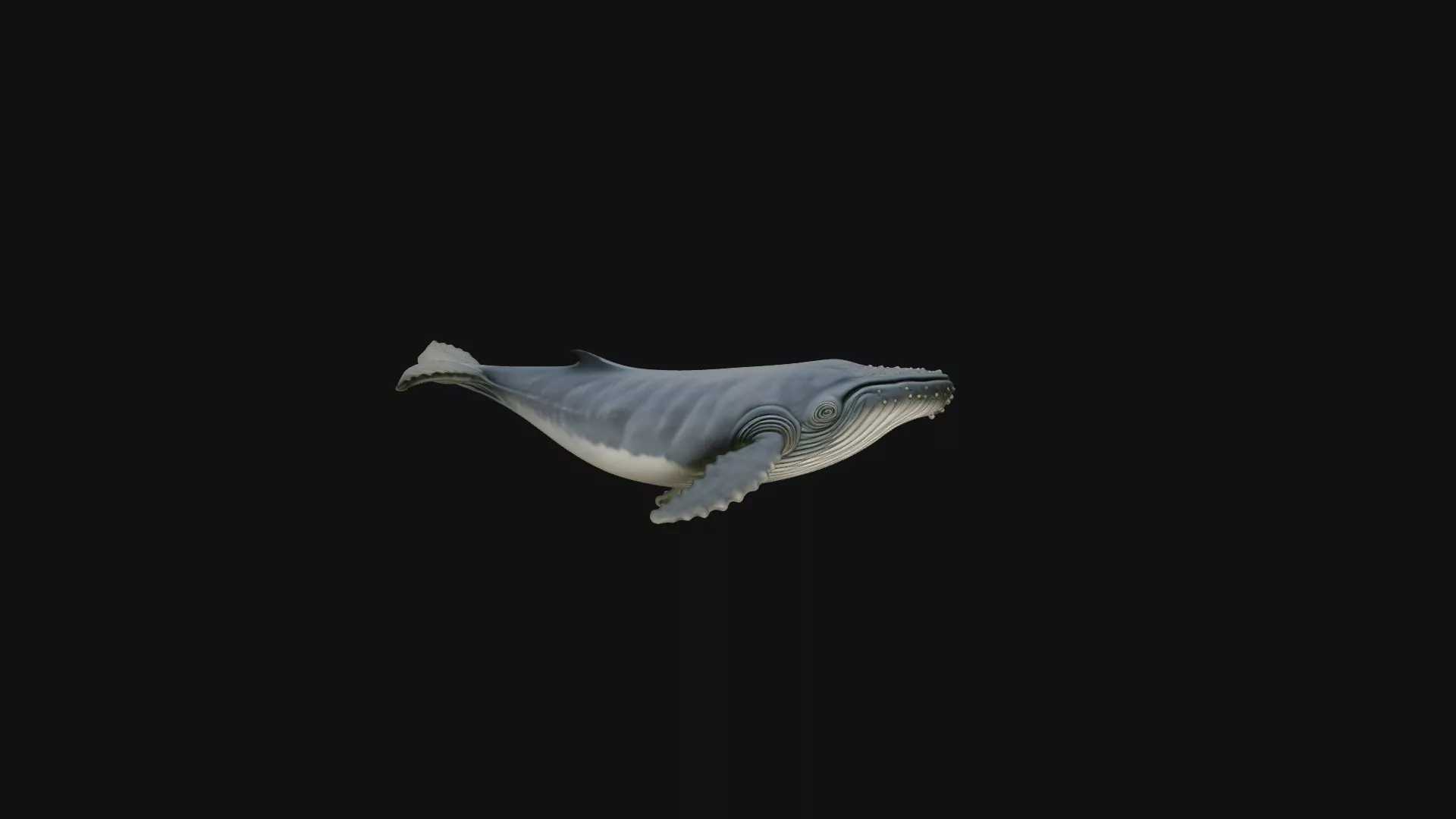 Humpback Whale Statue Design 2 - 3D Print Model 3D print model