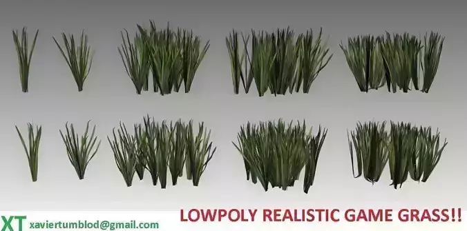 Lowpoly common grass Low-poly 3D model
