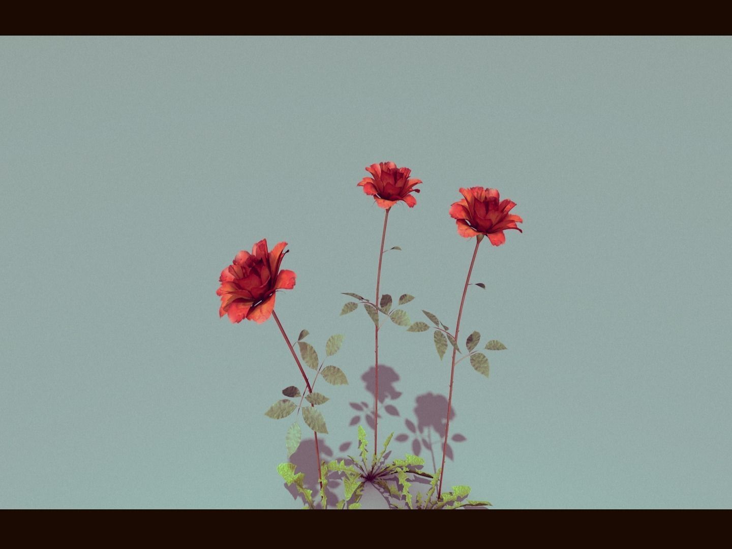 Three Growing Roses 3D model_2