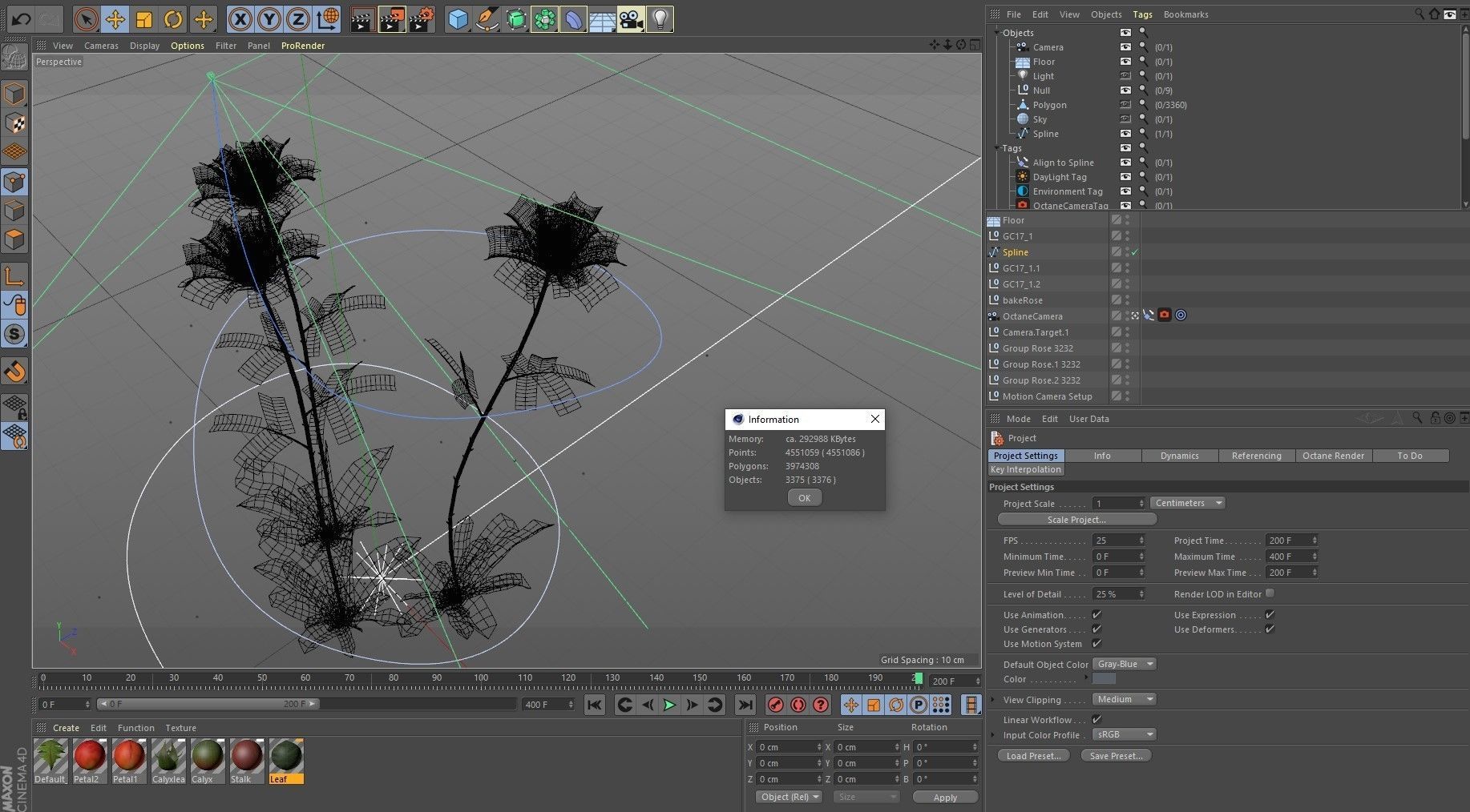 Three Growing Roses 3D model_4
