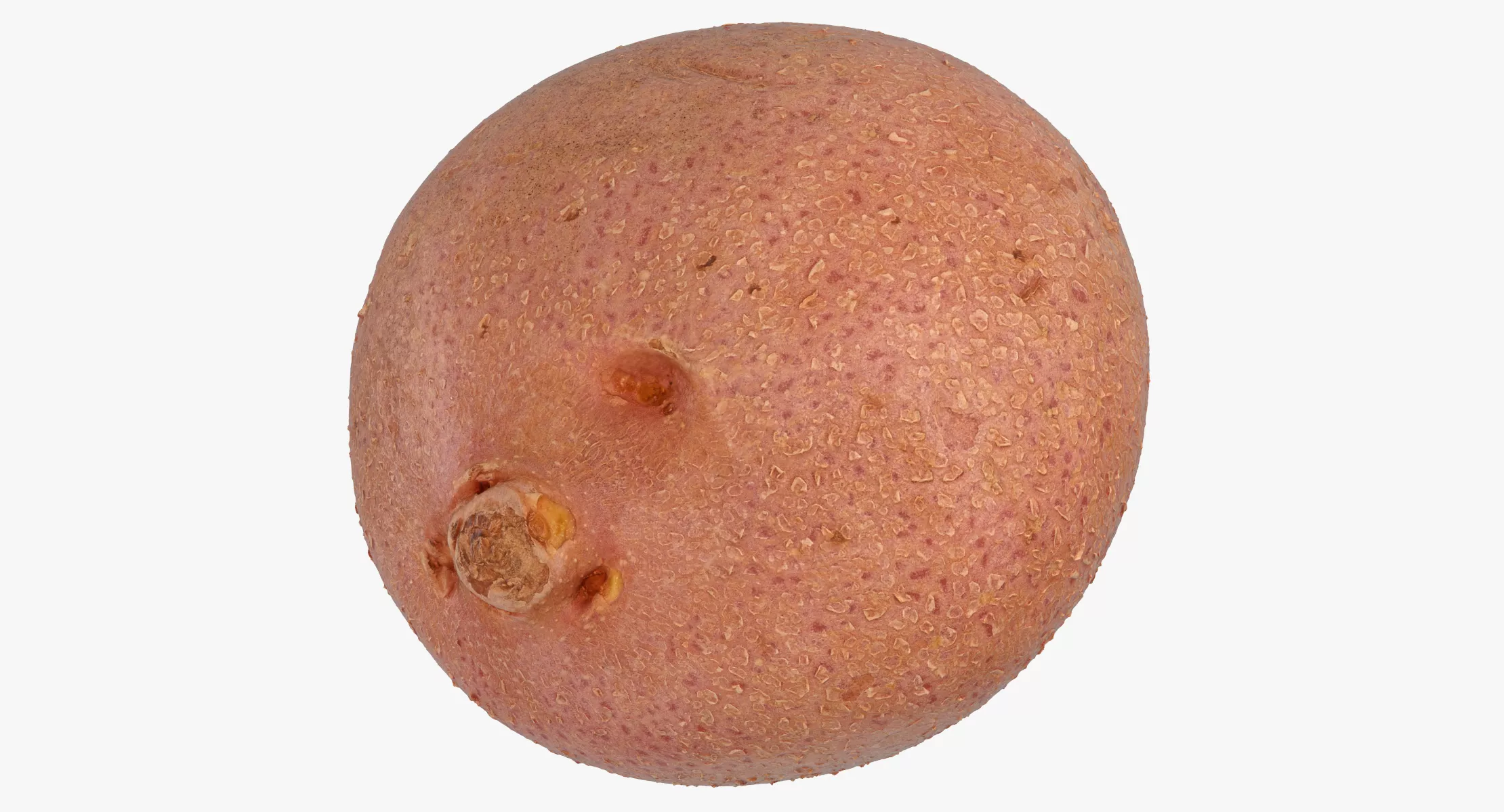 Red Potato 04 3D model