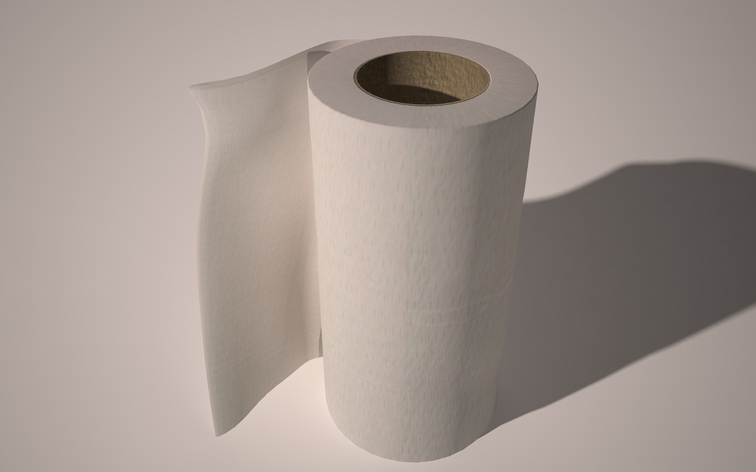 Paper Towel 3D model