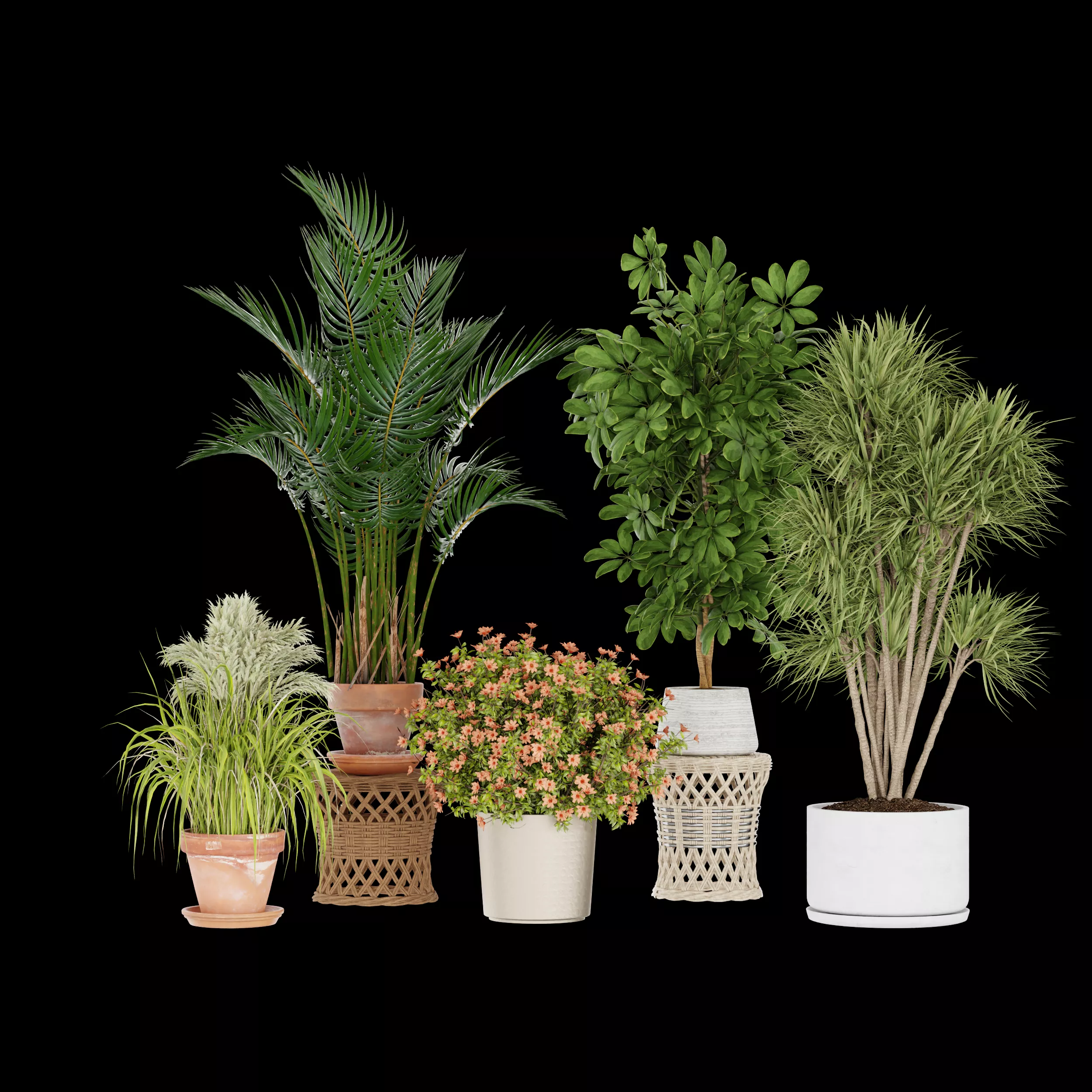 Indoor Plant Collection Low-poly 3D model