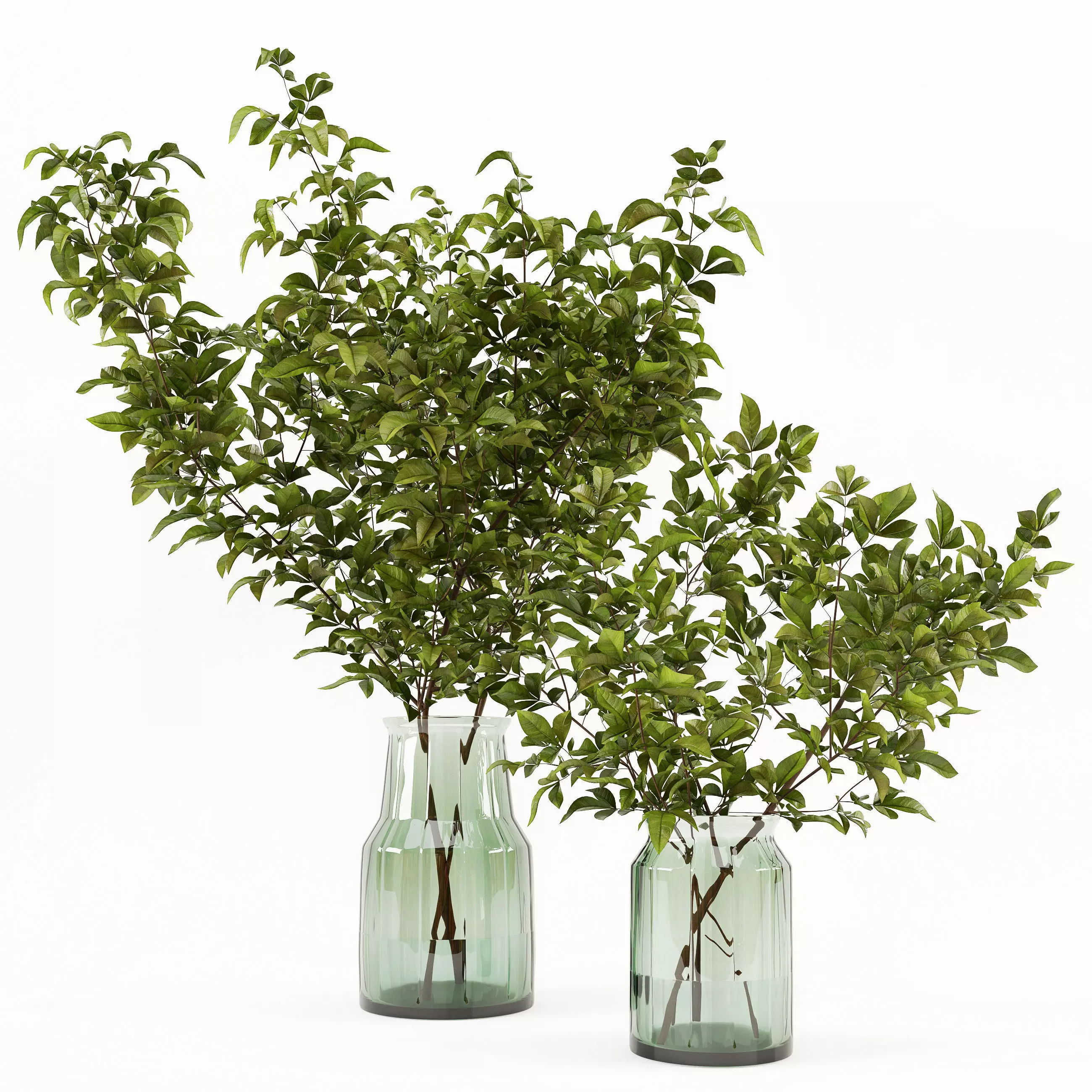 Branches in a vase 002 3D model