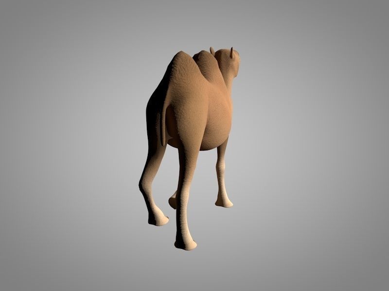 Camel Low-poly 3D model_5