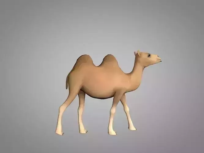 Camel Low-poly 3D model