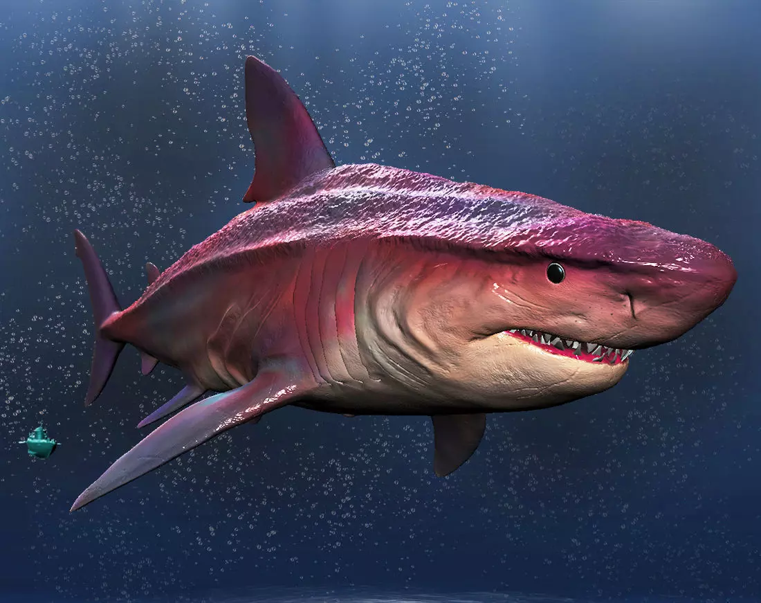GIGALODON great shark 3D model_0