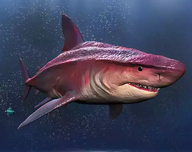 GIGALODON great shark 3D model