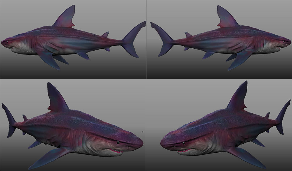 GIGALODON great shark 3D model_1