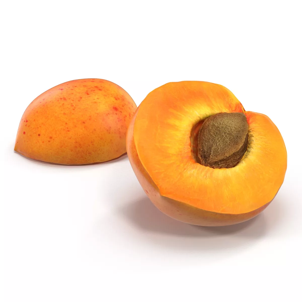Apricot Cross Section 3D model
