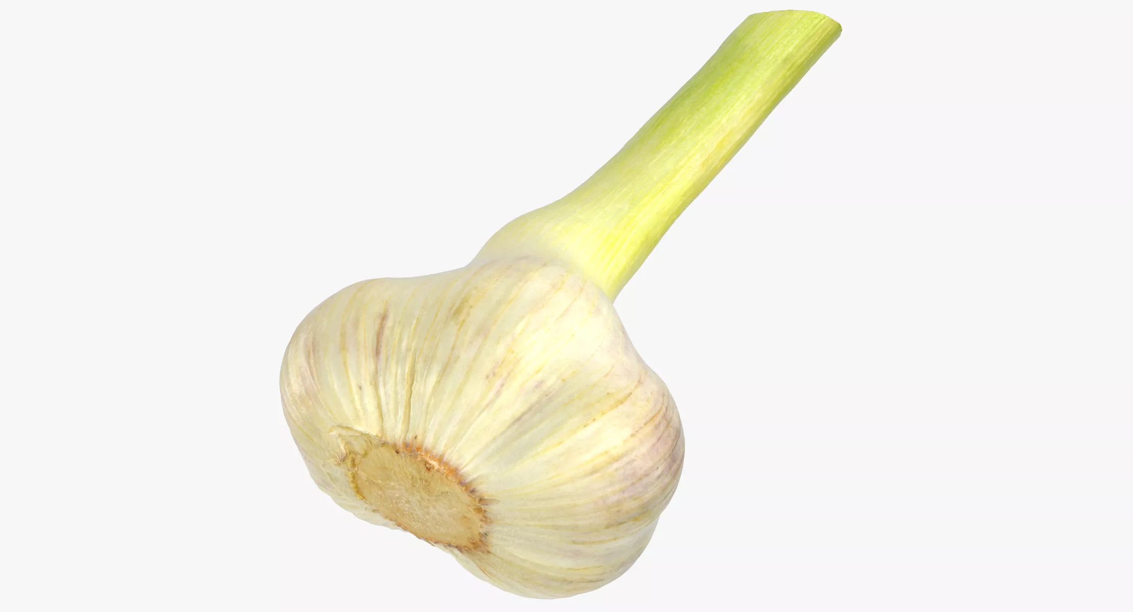 Hardneck Garlic 01 3D model